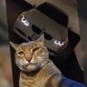 Profilbild von Mist