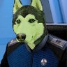 Barking Alien / #BLM #RenewTheOrville profil fotoğrafı