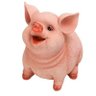 Profilbild von kaniiiii