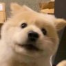 Tseki's profile picture