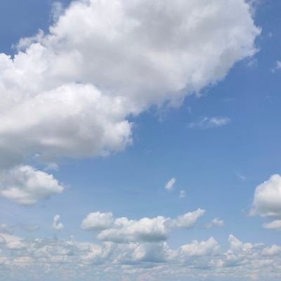 morina_ef's profile picture