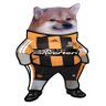 Wheelhouse 的头像