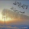 حسن بادي profil fotoğrafı