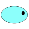 カジキ.mp4 profil fotoğrafı
