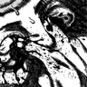 Almeida De Matos's profile picture