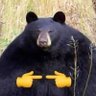 Фото профиля Literally A Bear