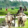 அஹ்மது முபீன் அப்துல் ஹை's profile picture