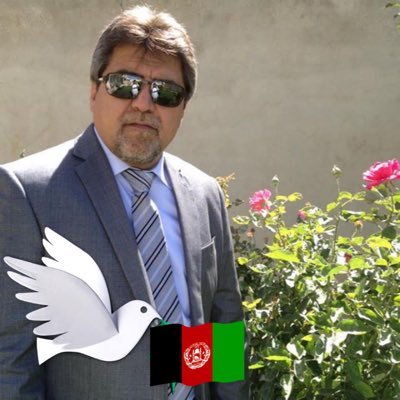 Sayed H Pacha's profile picture