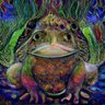 The Last Heterosexual Frog profil fotoğrafı