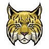 Bob-Cat-Man's profile picture