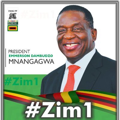ZANU PF's profile picture