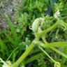 Фото профиля Gasdalf