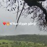 Фото профиля basma