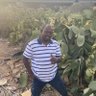 Profilbild von Eng Mohamed Dodain