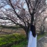 Фото профиля ゆめ