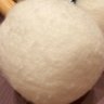 たま's profile picture