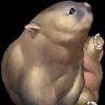 Wombat-DES 的头像