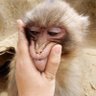 けむし profil fotoğrafı