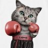 Mr.Meow 的头像