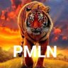 🌹BUTT BROTHER 🌹(🌹PMLN🌹) UAE🌹 的头像