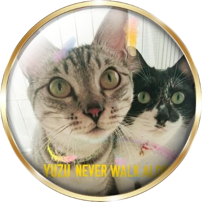 sakurano1104's profile picture