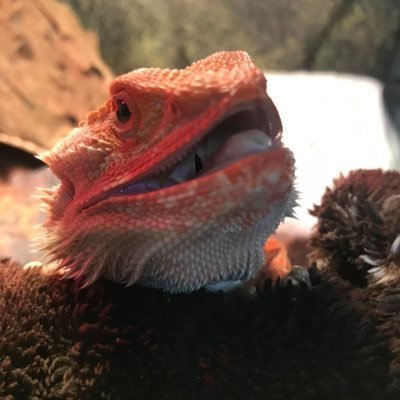 juvepiero10's profile picture