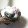 iot's profile picture
