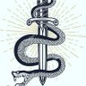 docsilen 1611's profile picture