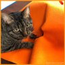 jaco's profile picture