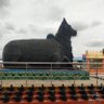 Ganesh Arjunan's profile picture