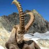 Фото профиля Bran Bihaber