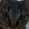 Magdalena's profile picture