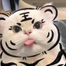 Profilbild von qpzmby