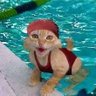 Profilbild von Gina Kowacich