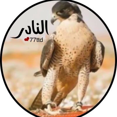النادر's profile picture