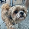 Profilbild von Pookah