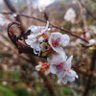 Фото профиля sree_tae