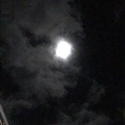 MaoriBoiXO's profile picture