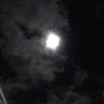 MāoriBoiXO's profile picture
