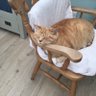 AudreyElliott. profil fotoğrafı