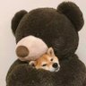 Jack Feng's profile picture