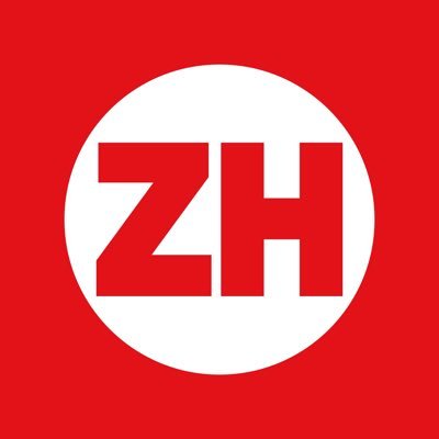 zerohanger's profile picture