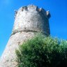 phildetorraccia profil fotoğrafı
