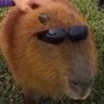 Profilbild von Aldo