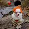 Pennywise Wiseass's profile picture