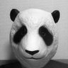ボクシ・G💭's profile picture
