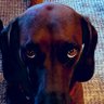 Profilbild von Christian