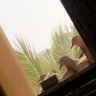 💕 ساره 💕🇸🇦💞🇸🇦 profil fotoğrafı