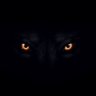 Profilbild von The Black and Blue Bull