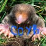 The Goodison Mole profil fotoğrafı